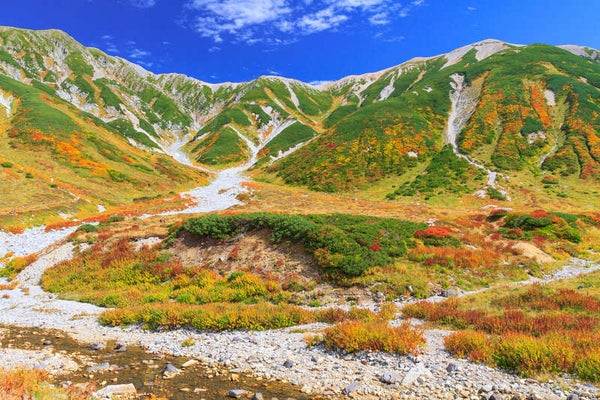 【高知龍馬空港発】 立山黒部アルペンルートと上高地・信州善光寺・国宝松本城3日間1